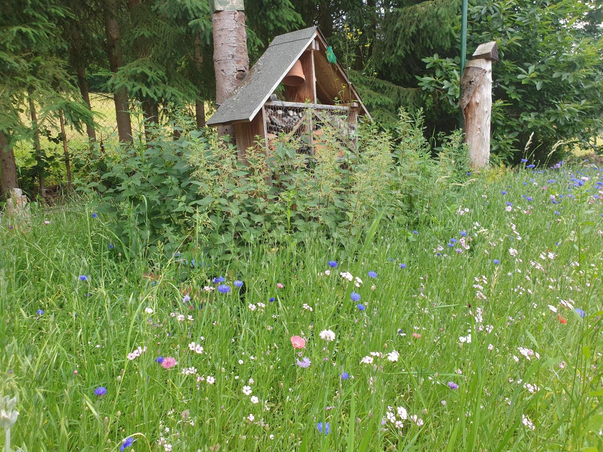 Le Wineck Vila Dambach Quarto foto