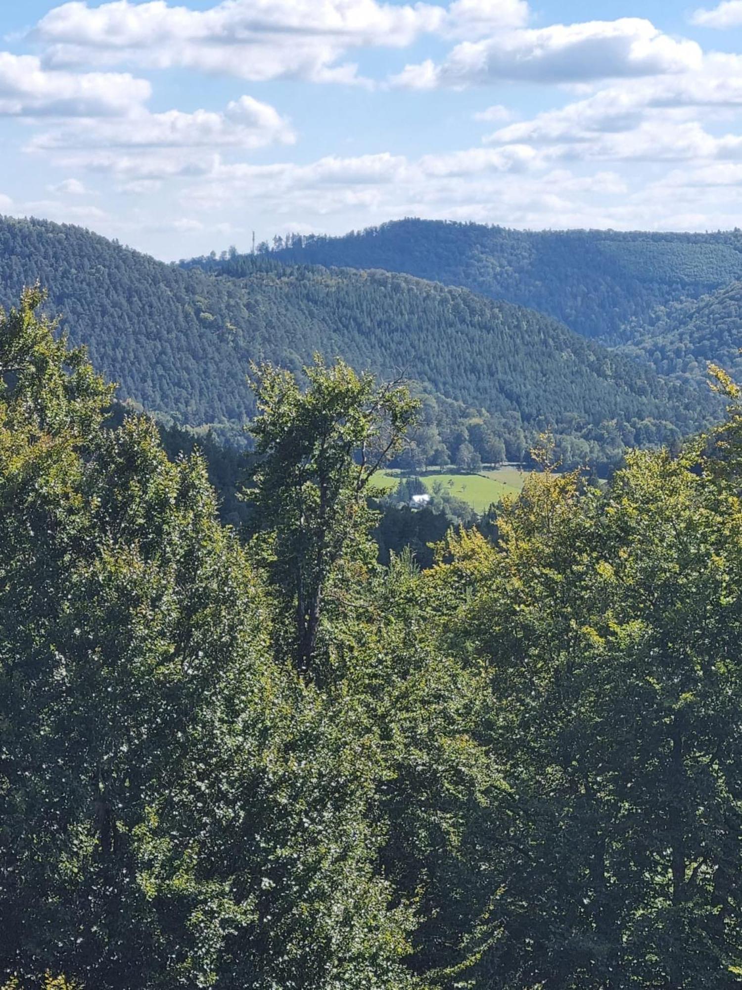Le Wineck Vila Dambach Exterior foto
