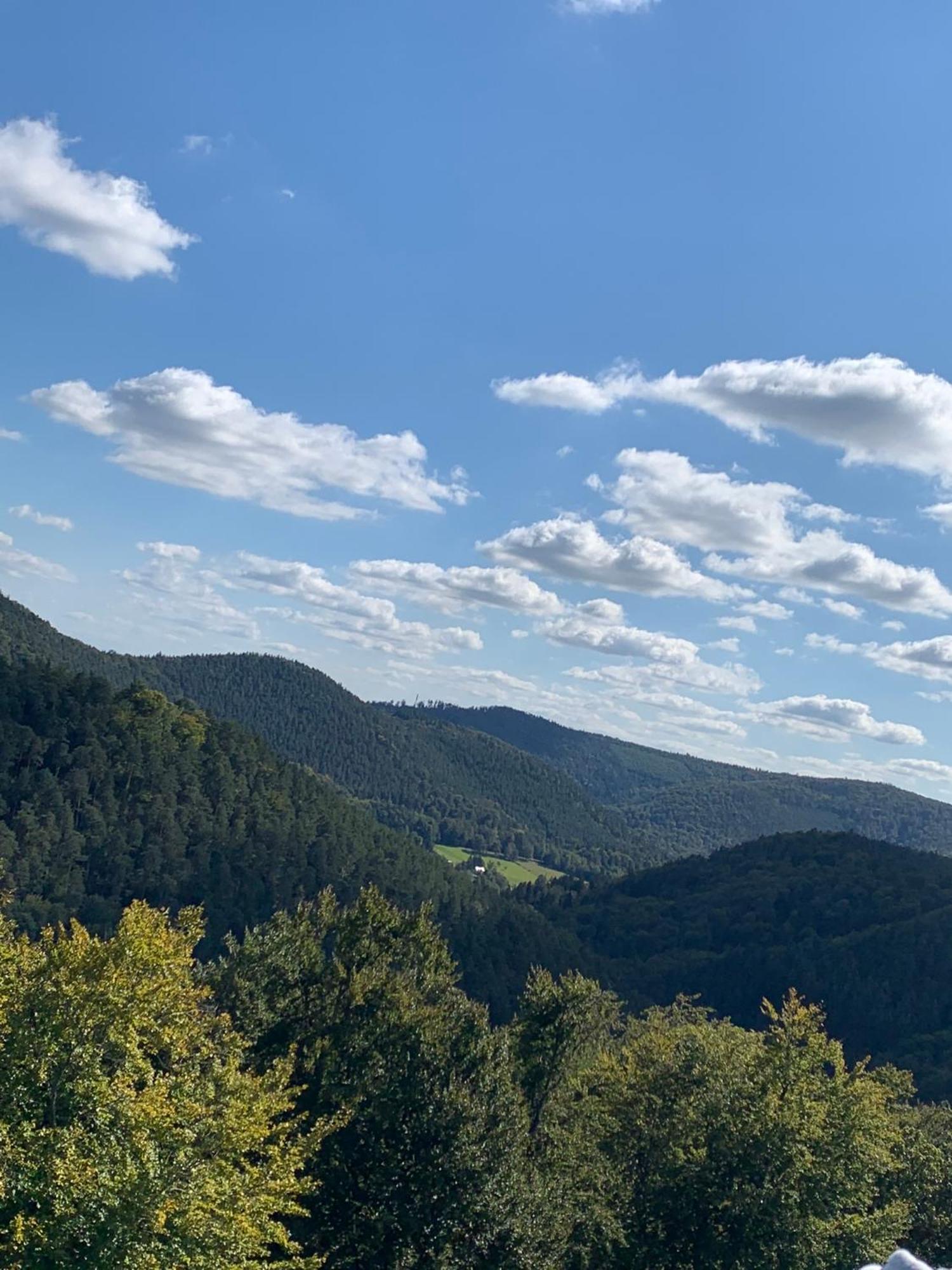 Le Wineck Vila Dambach Exterior foto