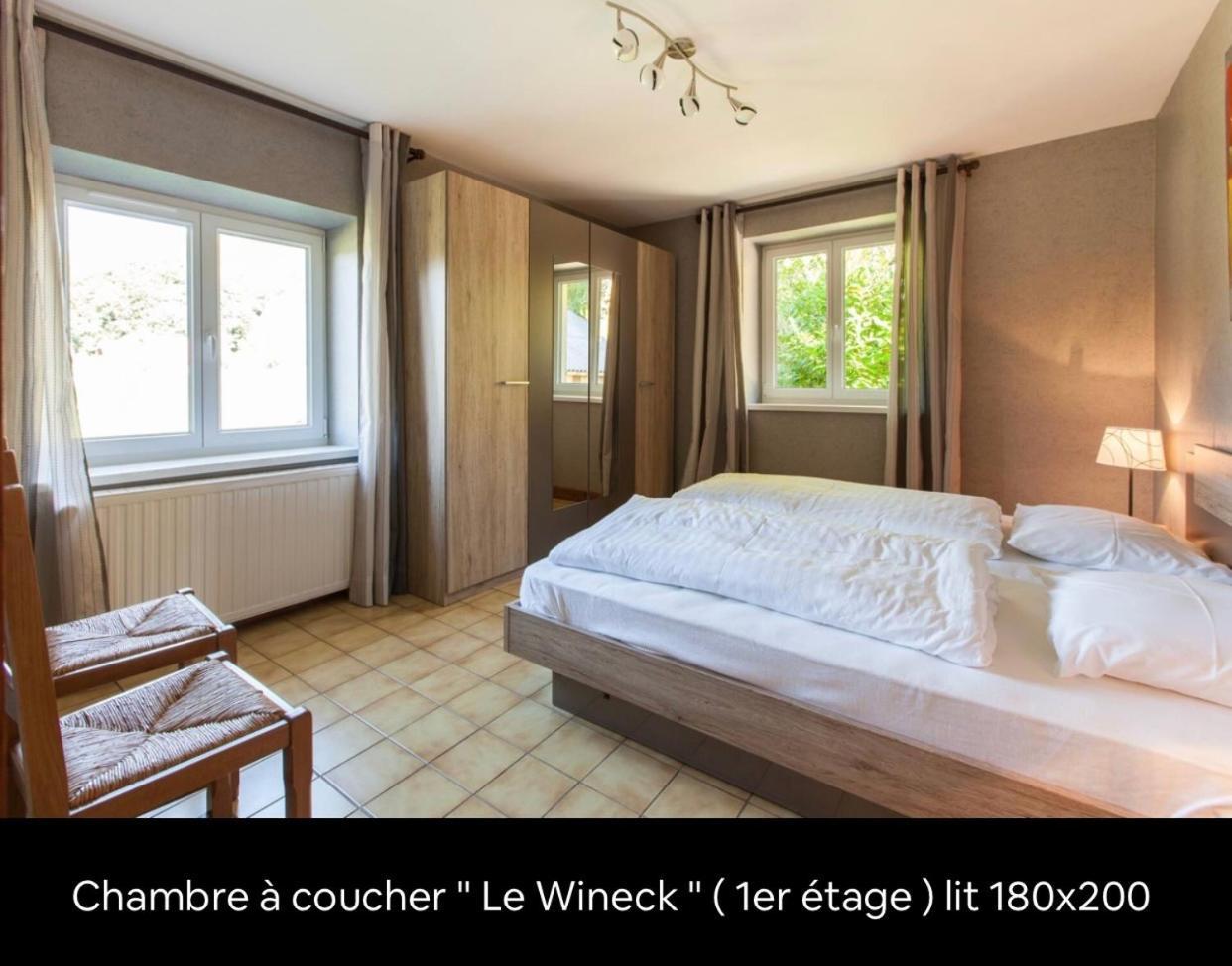 Le Wineck Vila Dambach Exterior foto