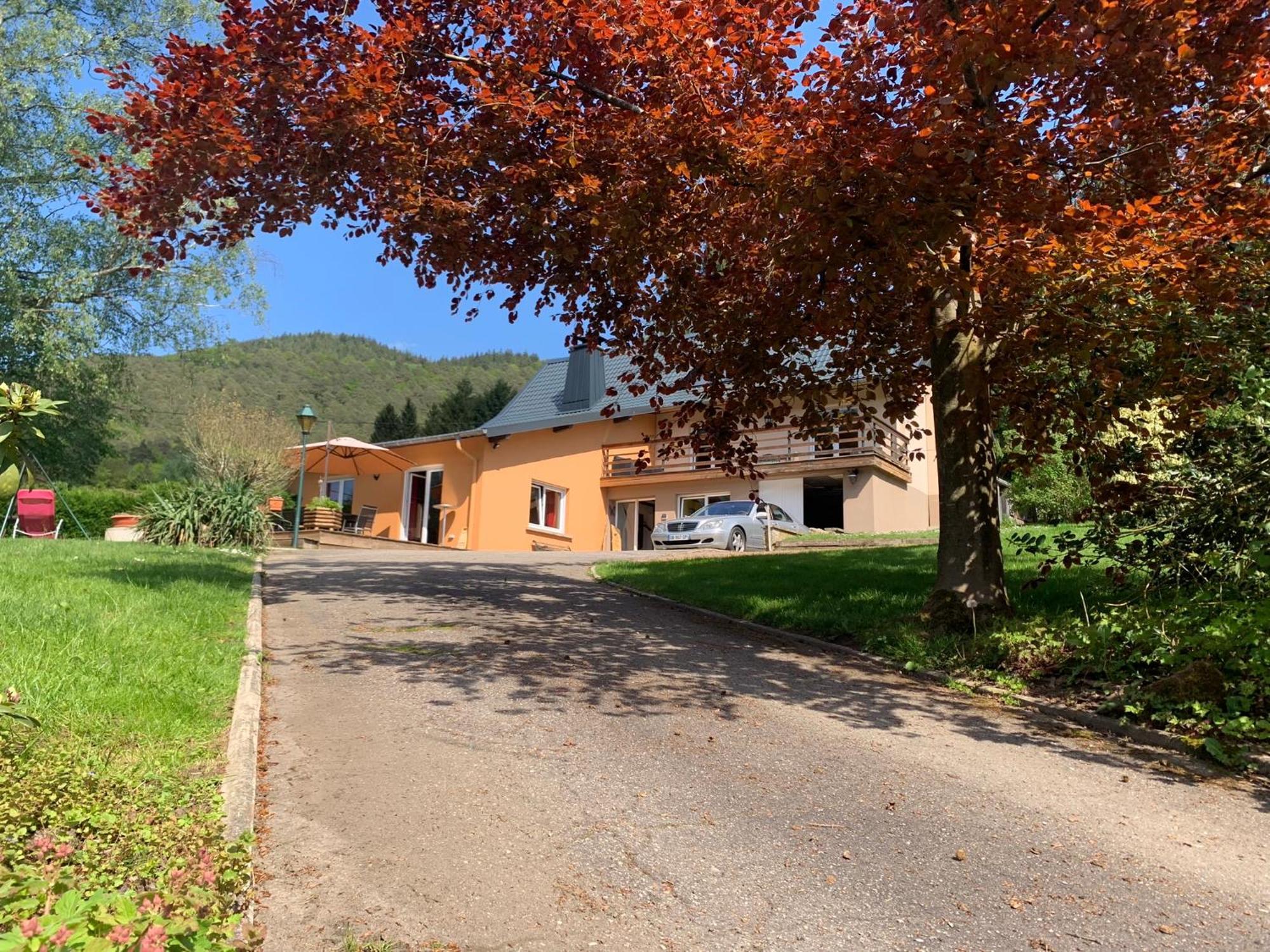 Le Wineck Vila Dambach Exterior foto