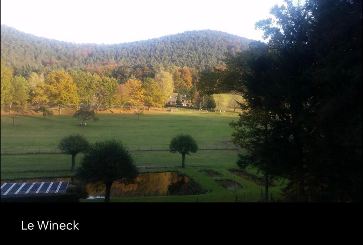 Le Wineck Vila Dambach Exterior foto
