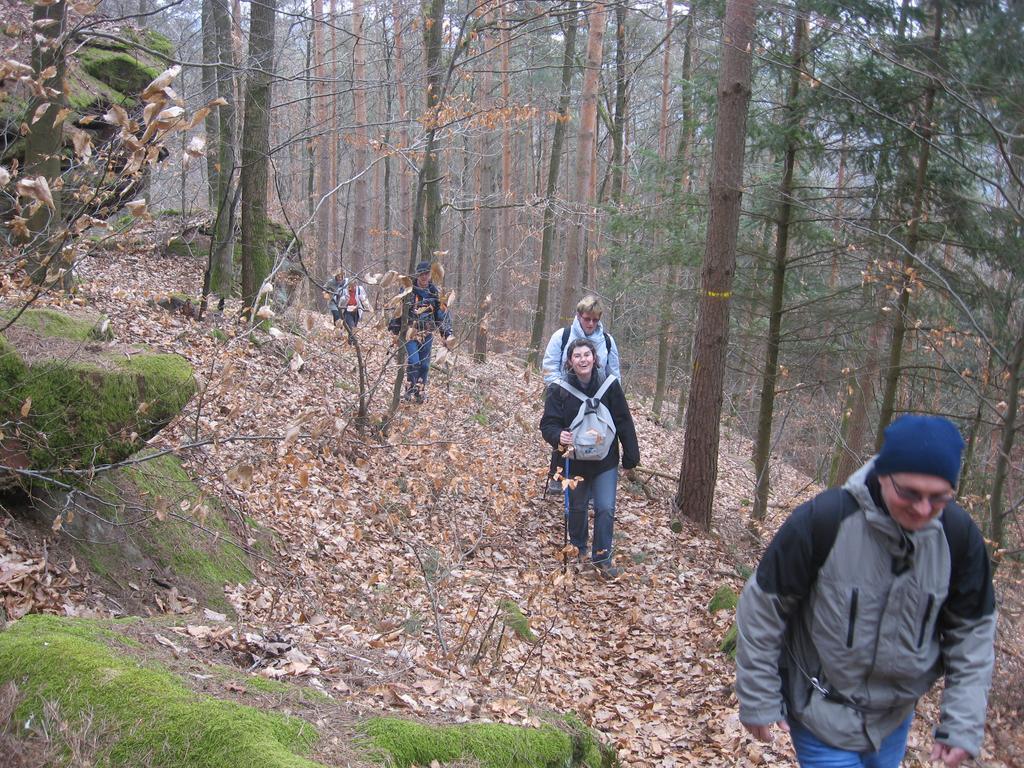 Le Wineck Vila Dambach Exterior foto
