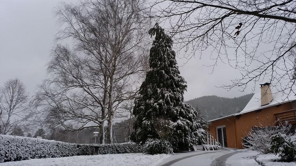 Le Wineck Vila Dambach Exterior foto