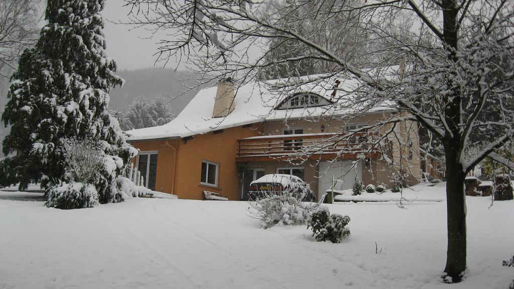 Le Wineck Vila Dambach Exterior foto